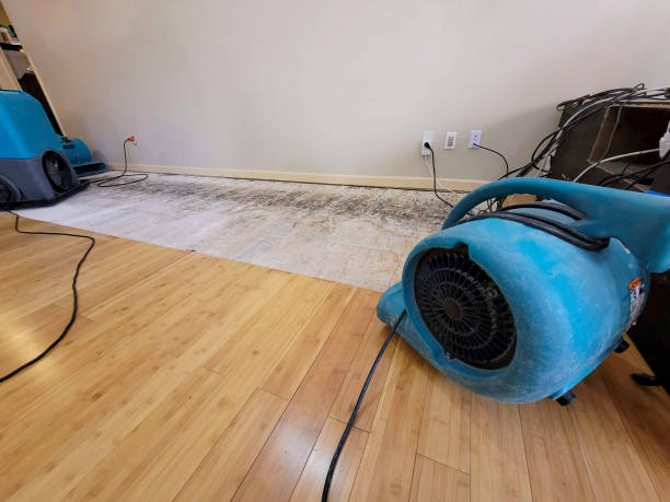 Reliable Water Extraction contractor in Wrightstown, NJ by Hirex Water Damage