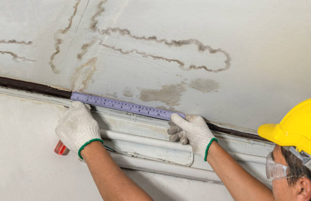 Affordable Water Damage Repair solutions in Wrightstown, NJ